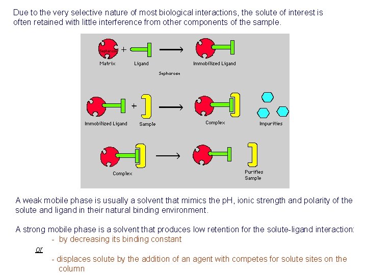 Due to the very selective nature of most biological interactions, the solute of interest