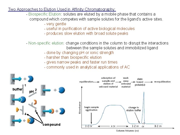 Two Approaches to Elution Used in Affinity Chromatography: - Biospecific Elution: solutes are eluted