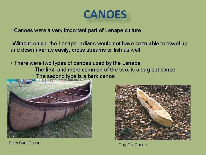 CANOES ◦ Canoes were a very important part of Lenape culture. ◦Without which, the