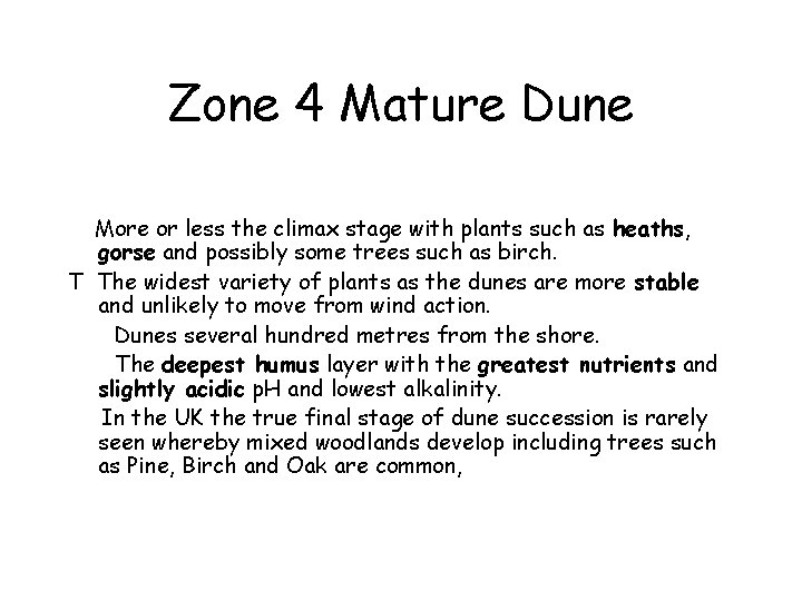 Zone 4 Mature Dune More or less the climax stage with plants such as