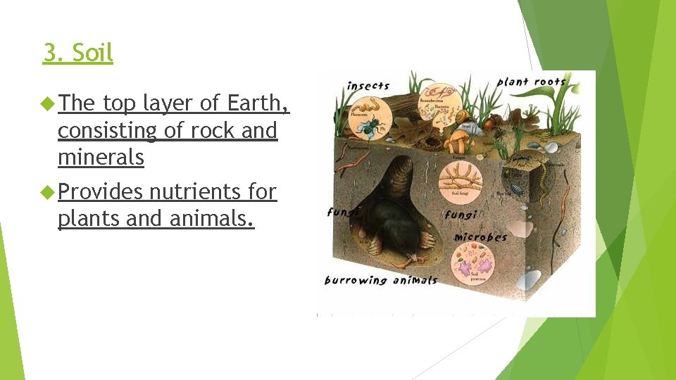 3. Soil The top layer of Earth, consisting of rock and minerals Provides nutrients
