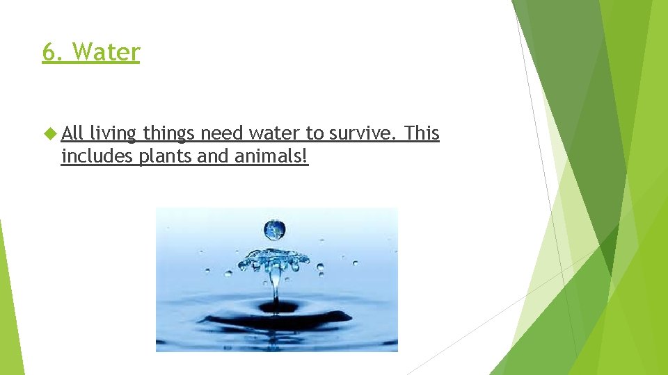 6. Water All living things need water to survive. This includes plants and animals!