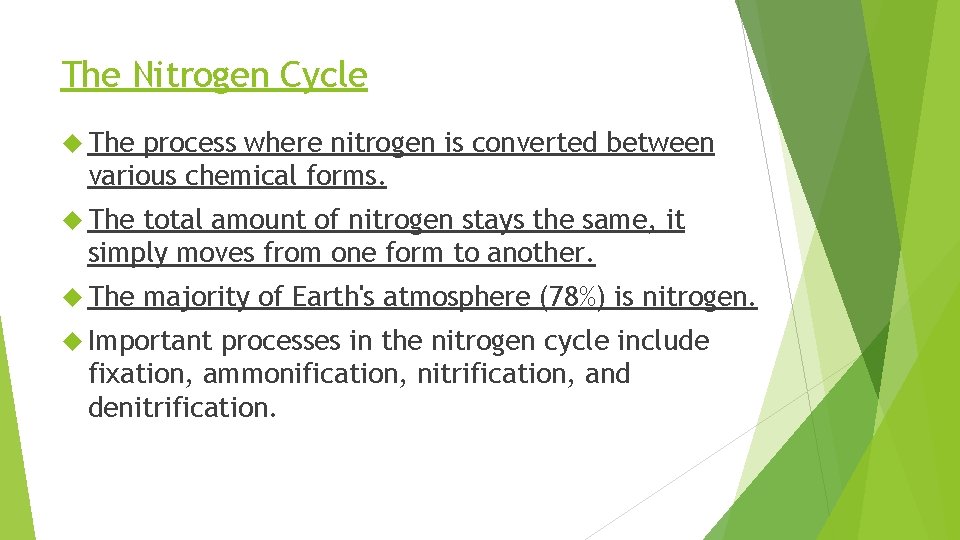 The Nitrogen Cycle The process where nitrogen is converted between various chemical forms. The