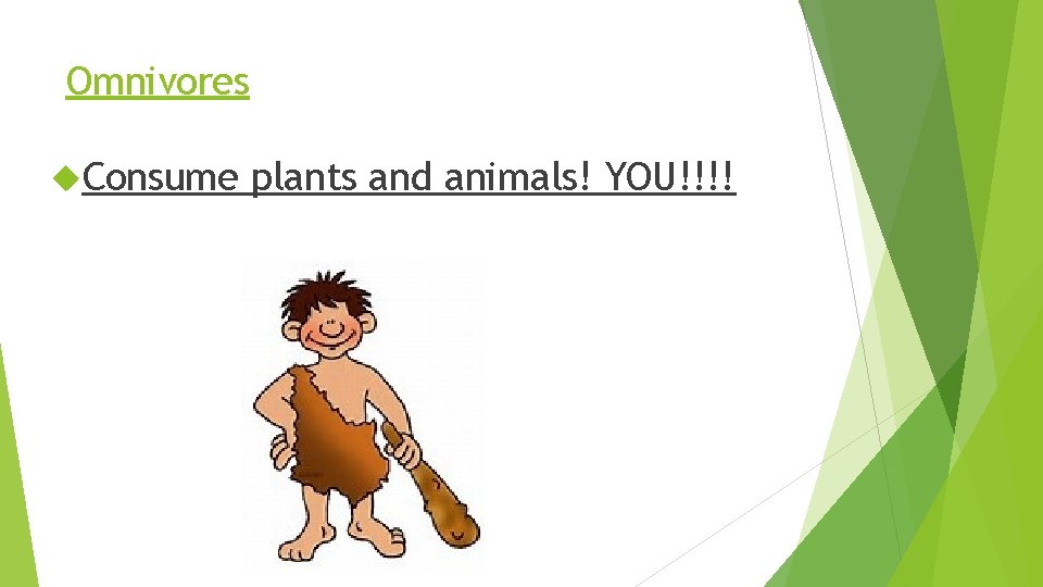 Omnivores Consume plants and animals! YOU!!!! 