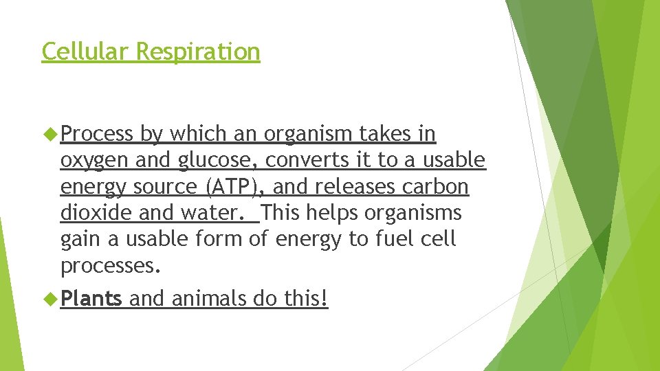 Cellular Respiration Process by which an organism takes in oxygen and glucose, converts it
