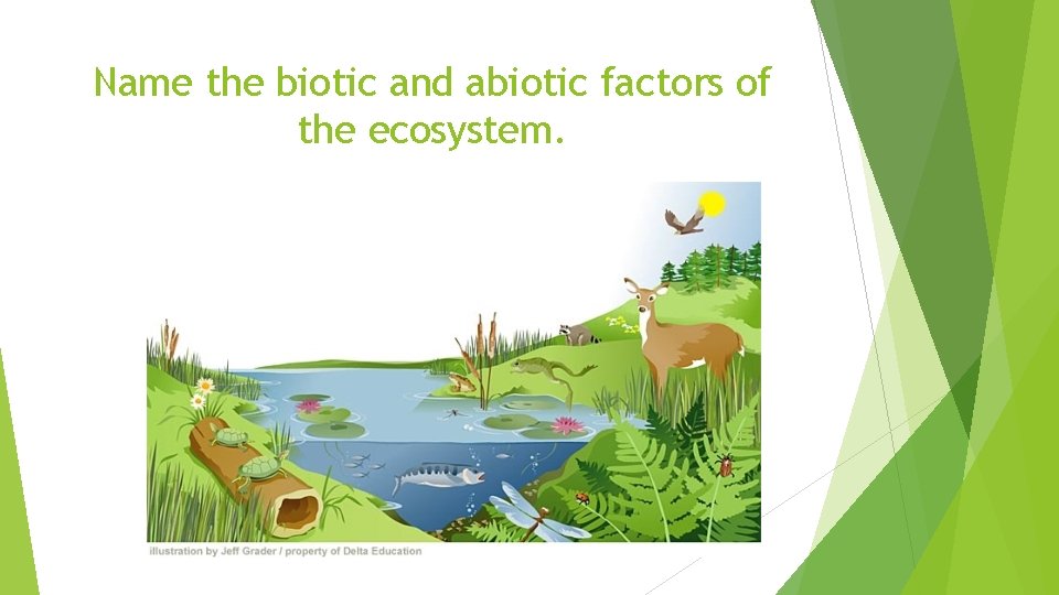 Name the biotic and abiotic factors of the ecosystem. 