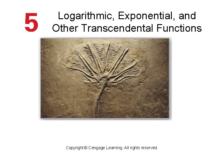 Logarithmic, Exponential, and Other Transcendental Functions Copyright © Cengage Learning. All rights reserved. 