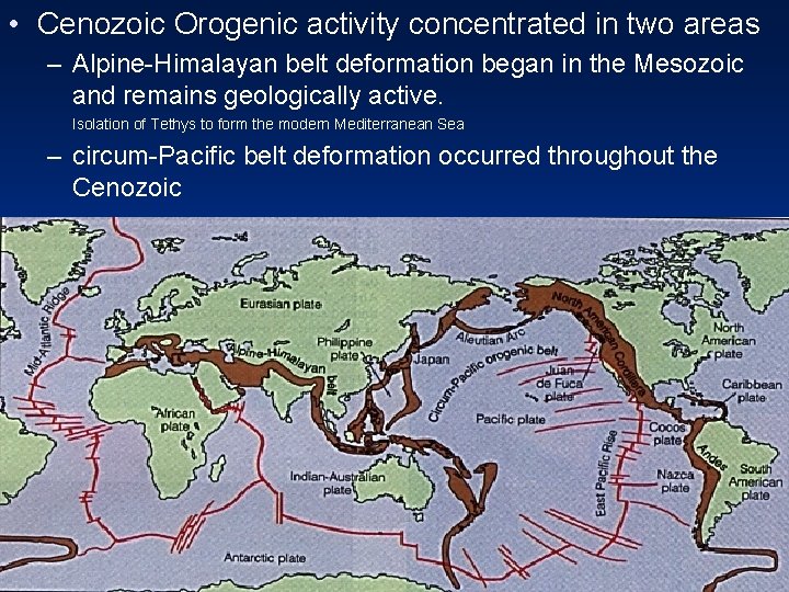  • Cenozoic Orogenic activity concentrated in two areas – Alpine-Himalayan belt deformation began