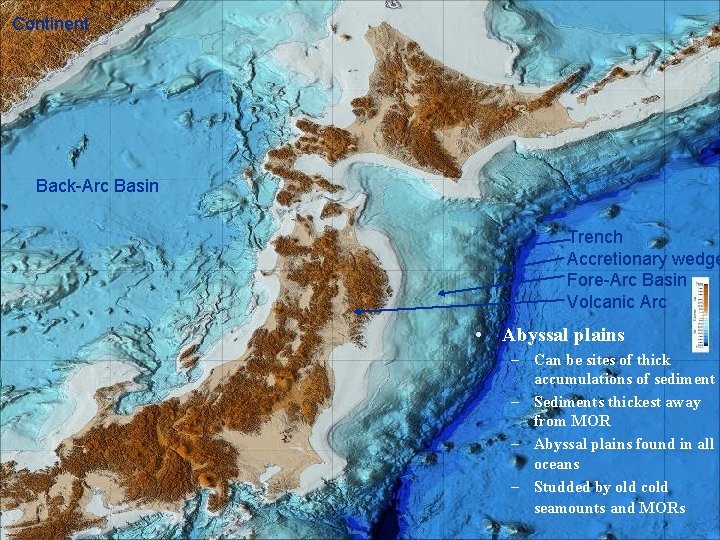 Continent Back-Arc Basin Trench Accretionary wedge Fore-Arc Basin Volcanic Arc • Abyssal plains –