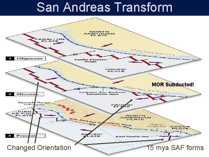 San Andreas Transform MOR Subducted! Changed Orientation 15 mya SAF forms 