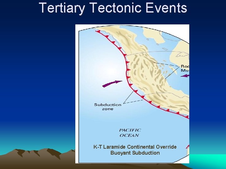 Tertiary Tectonic Events K-T Laramide Continental Override Buoyant Subduction 