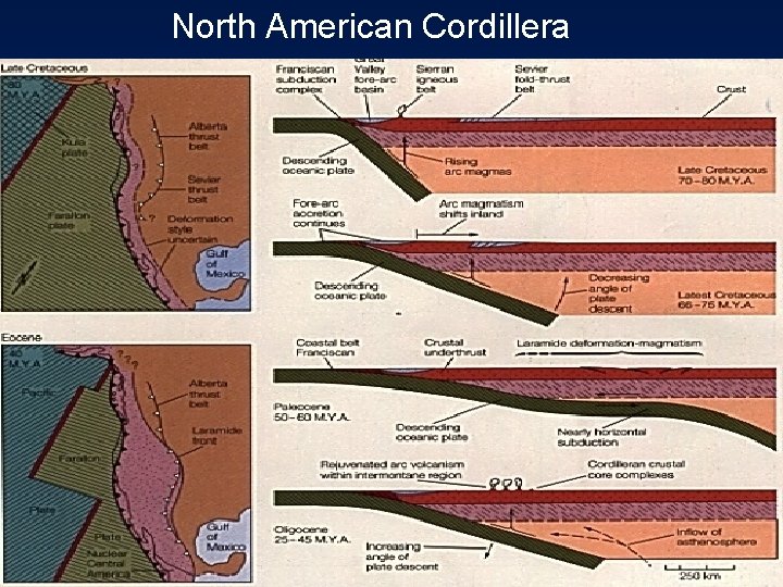 North American Cordillera 