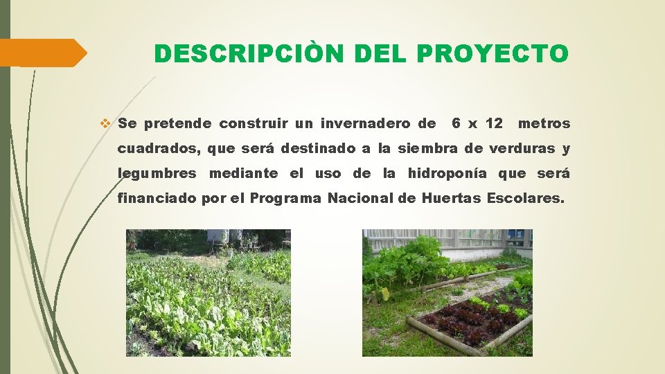 DESCRIPCIÒN DEL PROYECTO v Se pretende construir un invernadero de 6 x 12 metros