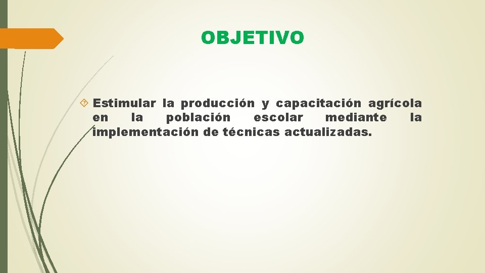 OBJETIVO Estimular la producción y capacitación agrícola en la población escolar mediante la implementación