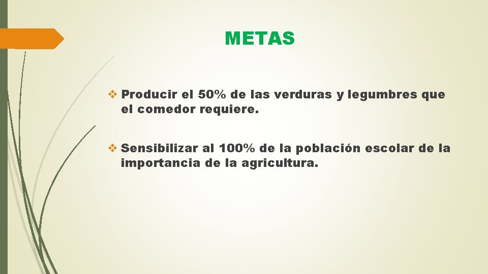 METAS v Producir el 50% de las verduras y legumbres que el comedor requiere.