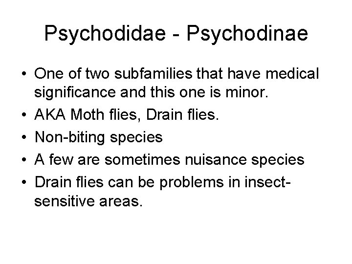 Psychodidae - Psychodinae • One of two subfamilies that have medical significance and this