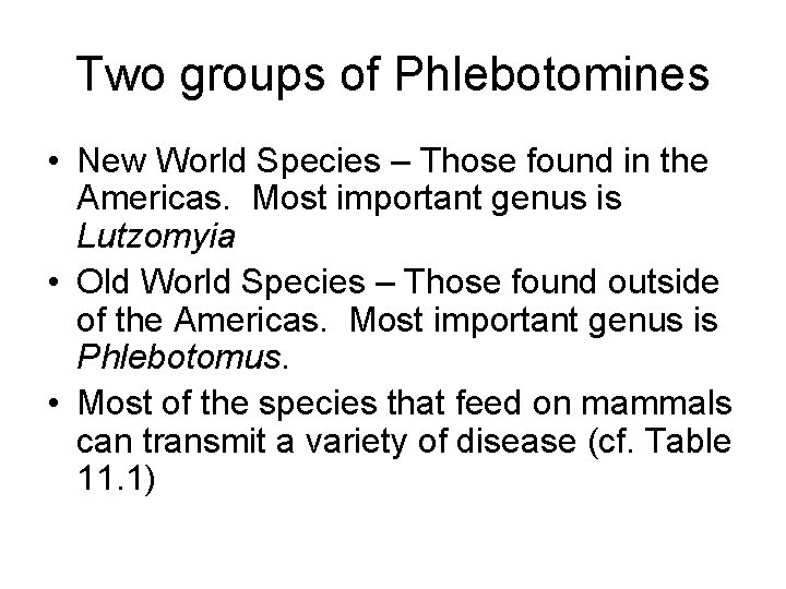 Two groups of Phlebotomines • New World Species – Those found in the Americas.