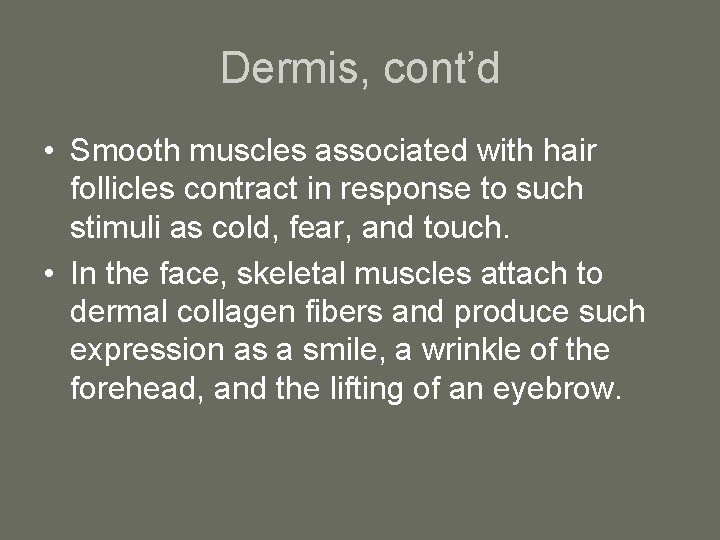 Dermis, cont’d • Smooth muscles associated with hair follicles contract in response to such