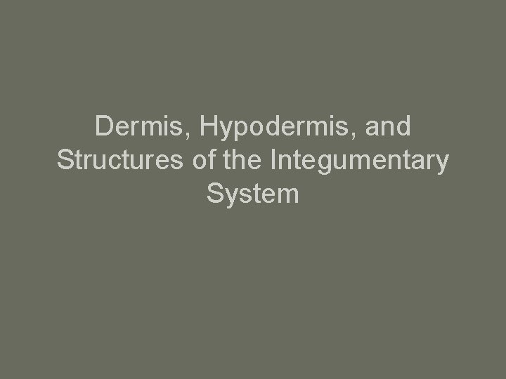 Dermis, Hypodermis, and Structures of the Integumentary System 