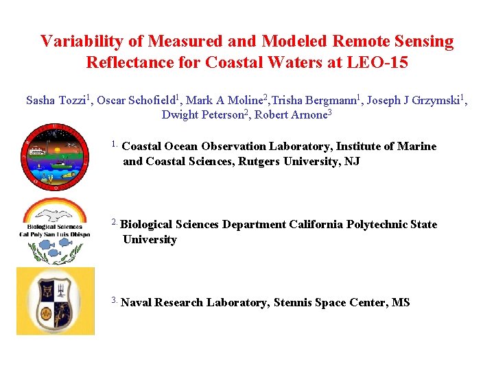 Variability of Measured and Modeled Remote Sensing Reflectance for Coastal Waters at LEO-15 Sasha