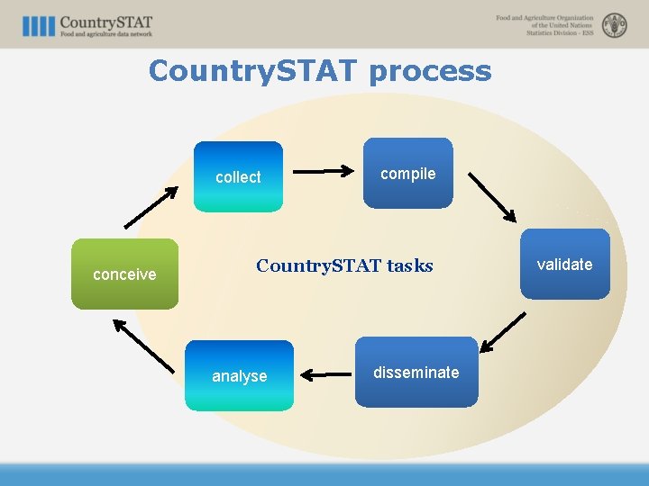 Country. STAT process collect conceive compile Country. STAT tasks analyse disseminate validate 