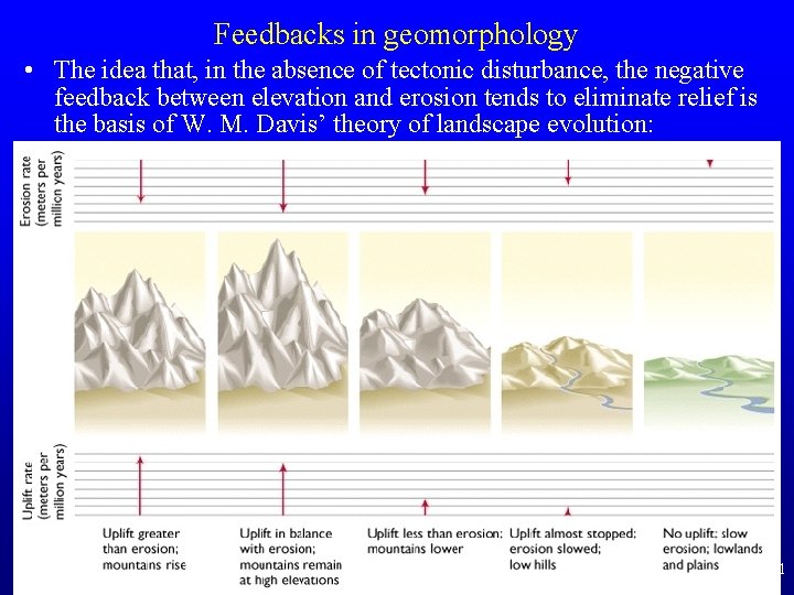 Feedbacks in geomorphology • The idea that, in the absence of tectonic disturbance, the