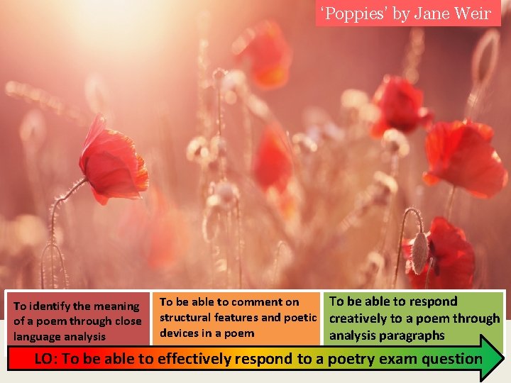 ‘Poppies’ by Jane Weir To identify the meaning of a poem through close language