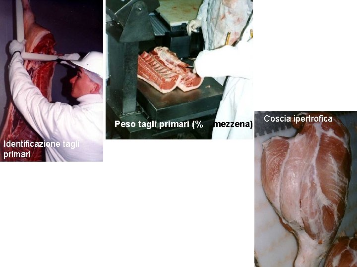 Peso tagli primari (% Identificazione tagli primari mezzena) Coscia ipertrofica 