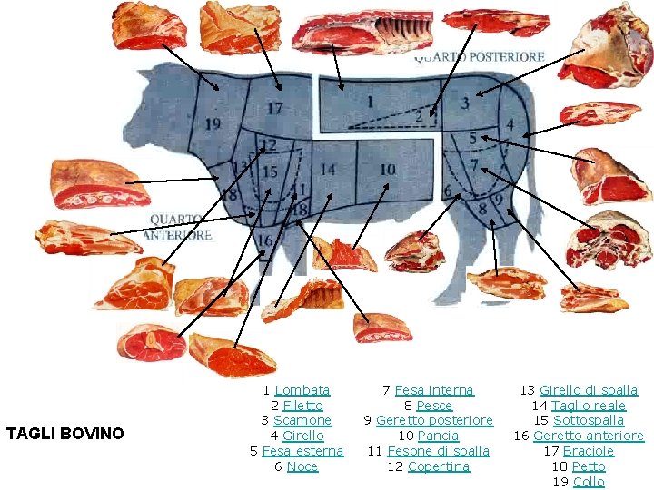 TAGLI BOVINO 1 Lombata 2 Filetto 3 Scamone 4 Girello 5 Fesa esterna 6