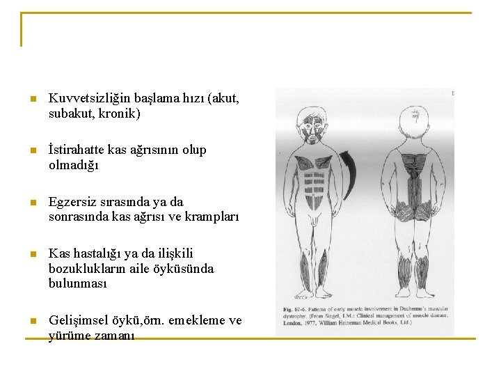 n Kuvvetsizliğin başlama hızı (akut, subakut, kronik) n İstirahatte kas ağrısının olup olmadığı n