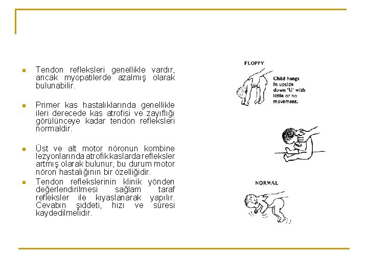 n Tendon refleksleri genellikle vardır, ancak myopatilerde azalmış olarak bulunabilir. n Primer kas hastalıklarında