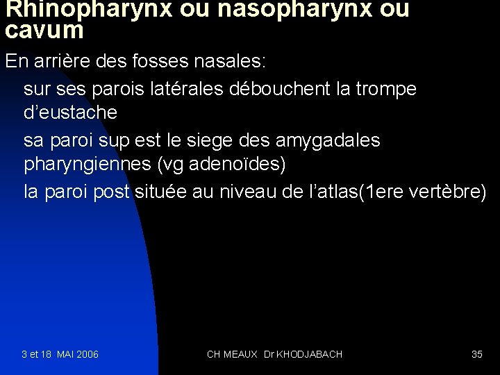 Rhinopharynx ou nasopharynx ou cavum En arrière des fosses nasales: sur ses parois latérales