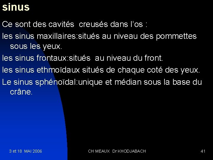 sinus Ce sont des cavités creusés dans l’os : les sinus maxillaires: situés au
