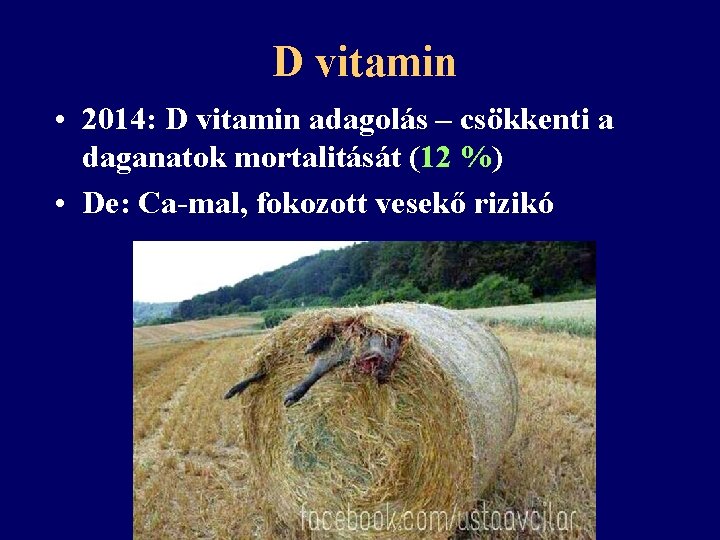 D vitamin • 2014: D vitamin adagolás – csökkenti a daganatok mortalitását (12 %)