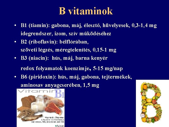 B vitaminok • B 1 (tiamin): gabona, máj, élesztő, hüvelyesek, 0, 3 -1, 4