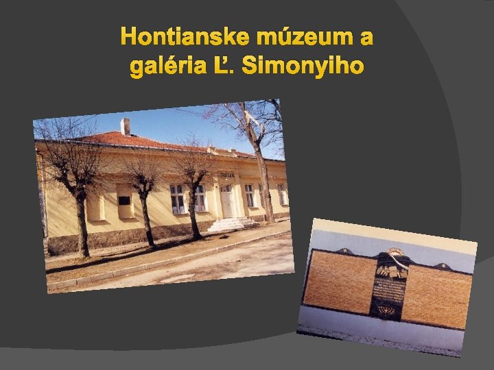 Hontianske múzeum a galéria Ľ. Simonyiho 