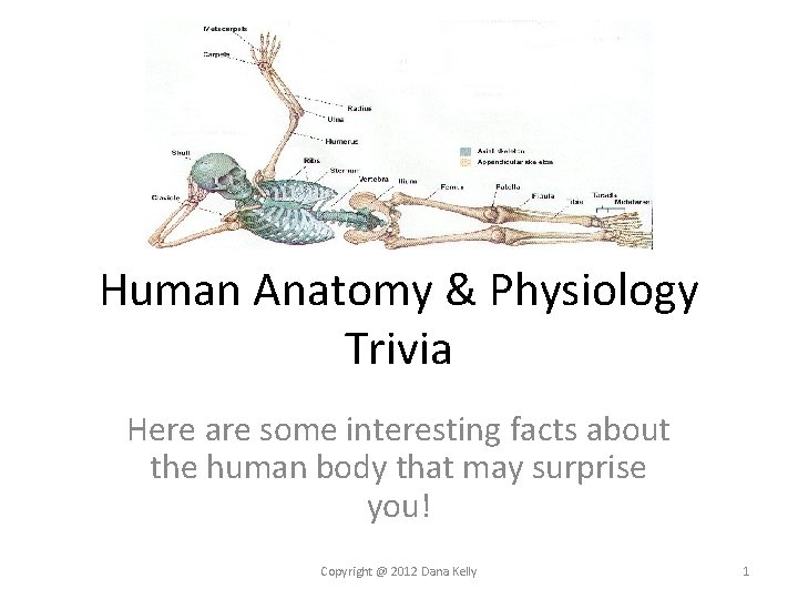 Human Anatomy & Physiology Trivia Here are some interesting facts about the human body