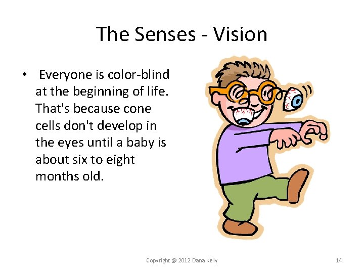 The Senses - Vision • Everyone is color-blind at the beginning of life. That's