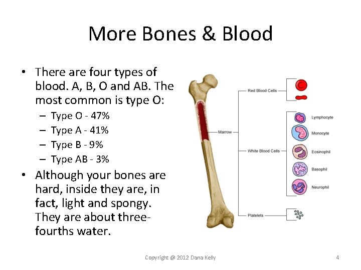 More Bones & Blood • There are four types of blood. A, B, O