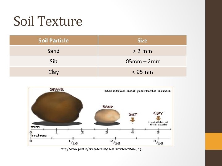 Soil Texture Soil Particle Size Sand > 2 mm Silt . 05 mm –