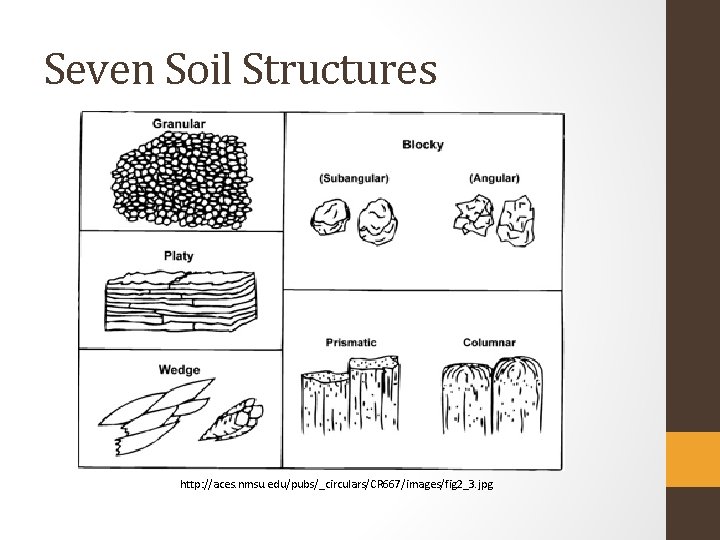 Seven Soil Structures http: //aces. nmsu. edu/pubs/_circulars/CR 667/images/fig 2_3. jpg 