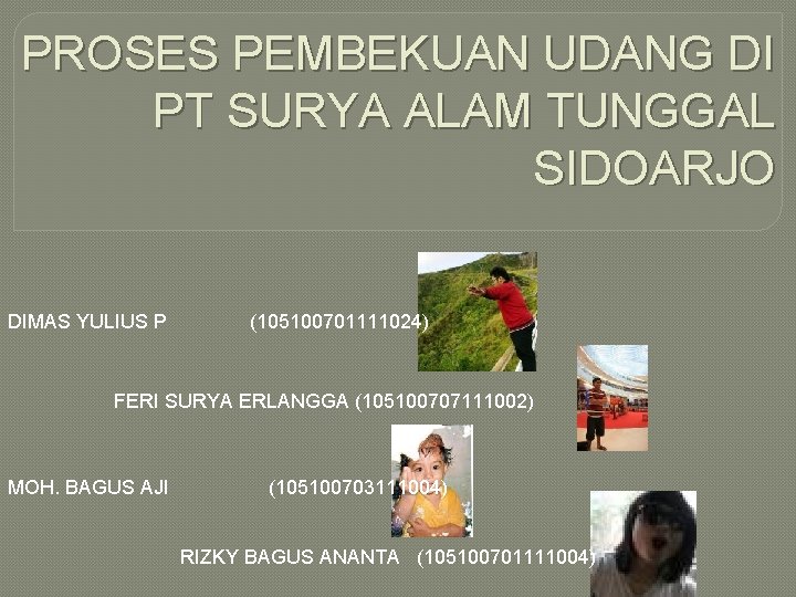 PROSES PEMBEKUAN UDANG DI PT SURYA ALAM TUNGGAL SIDOARJO DIMAS YULIUS P (105100701111024) FERI