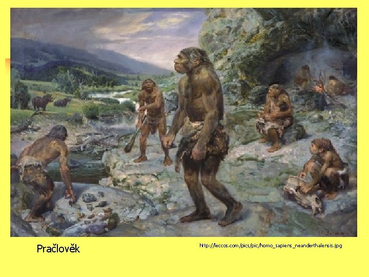 Pračlověk http: //leccos. com/pics/pic/homo_sapiens_neanderthalensis. jpg 