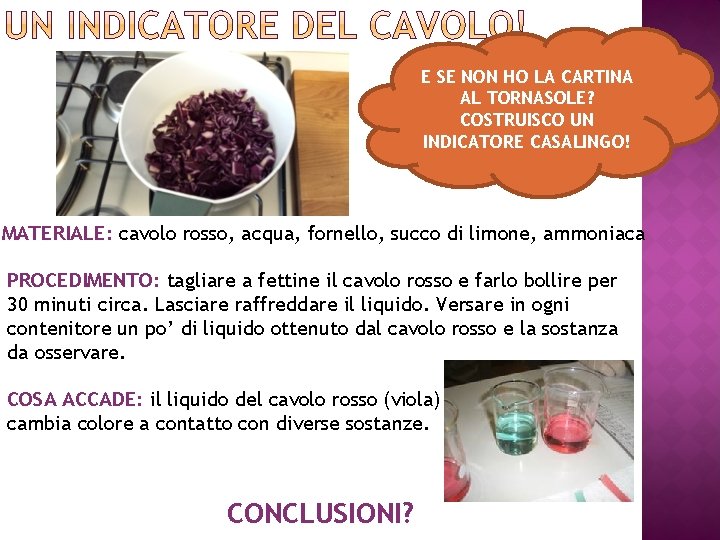 E SE NON HO LA CARTINA AL TORNASOLE? COSTRUISCO UN INDICATORE CASALINGO! MATERIALE: cavolo