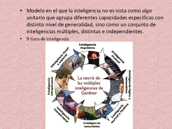  • Modelo en el que la inteligencia no es vista como algo unitario