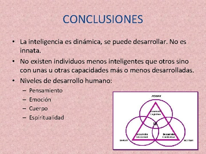 CONCLUSIONES • La inteligencia es dinámica, se puede desarrollar. No es innata. • No