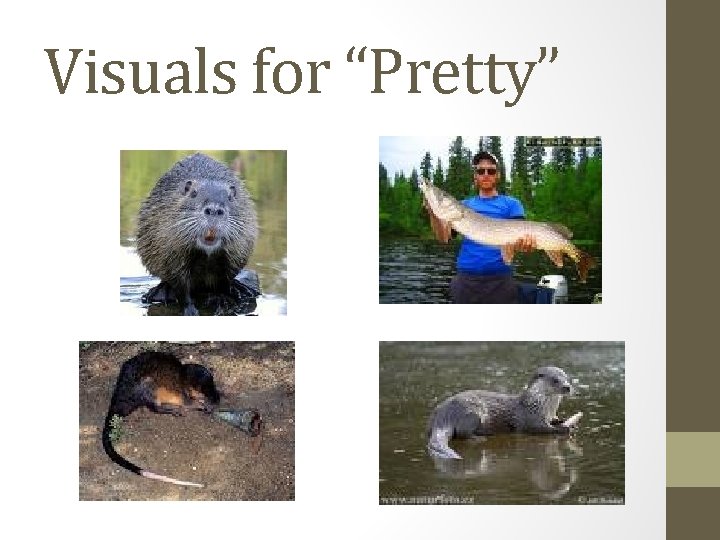 Visuals for “Pretty” Visuals for “Pretty”