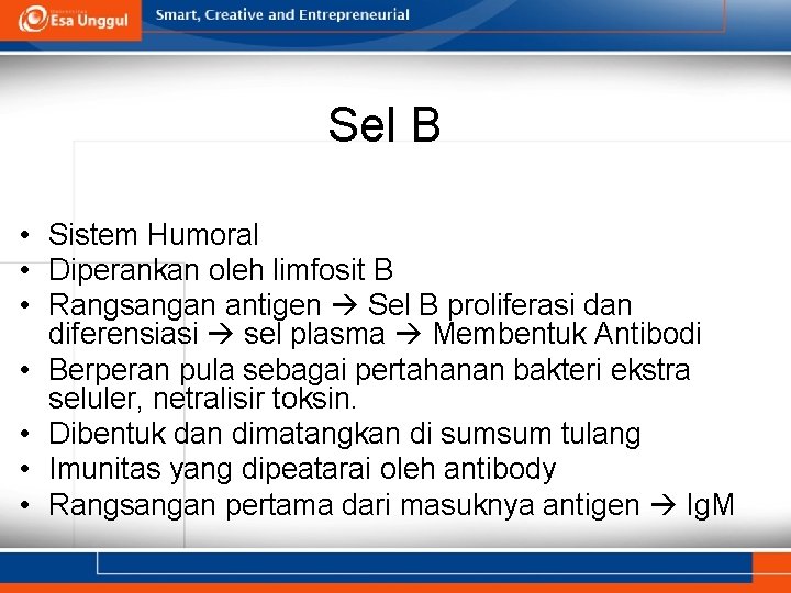 Sel B • Sistem Humoral • Diperankan oleh limfosit B • Rangsangan antigen Sel