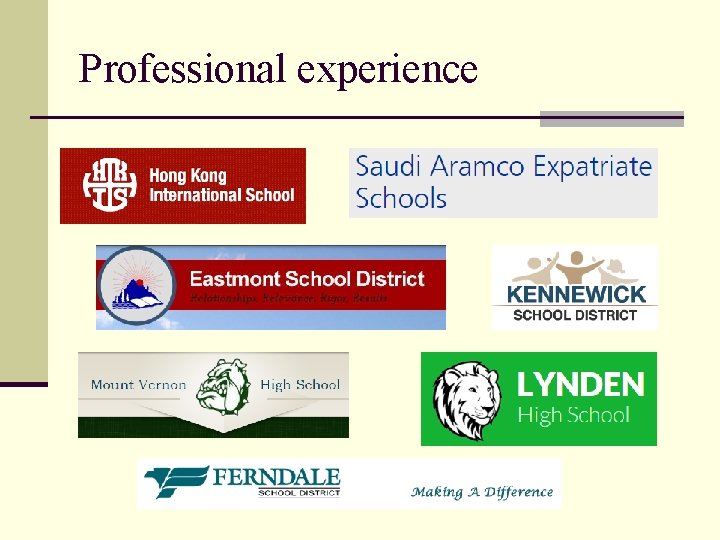 Professional experience 