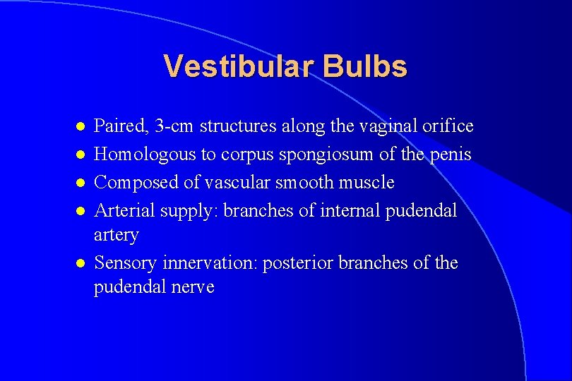Vestibular Bulbs l l l Paired, 3 -cm structures along the vaginal orifice Homologous